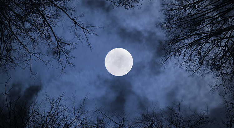 Taking the Fear out of the Mortgage Process | MyKCM