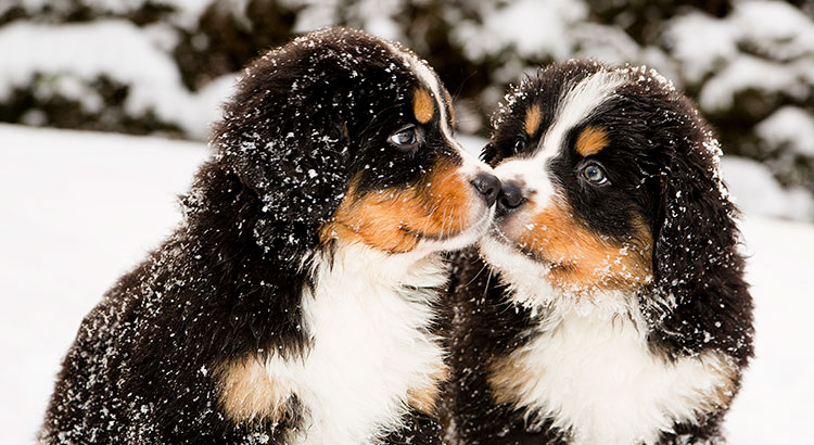 Winter Is Coming… 5 Reasons to Sell Now! | MyKCM